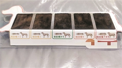 宠物体况评分工具