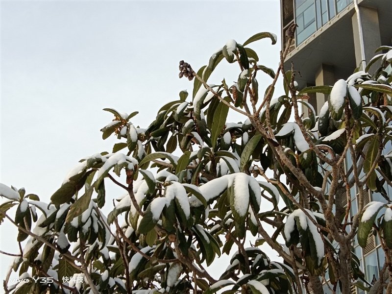 长续航兼顾大内存!vivo Y35评测:解锁千元级新体验