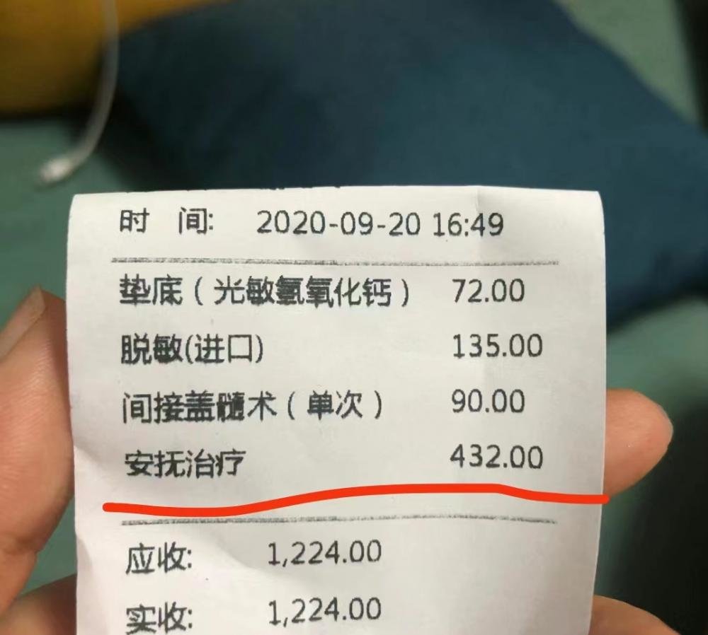 ▲网友展示的“安抚治疗”费用名目。