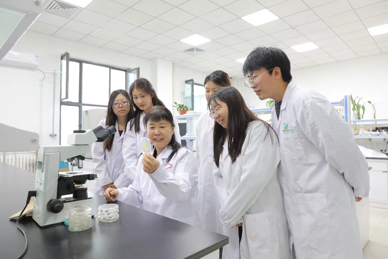 王兰带领学生在实验室里做实验。阿迪力&middot;艾尼 摄