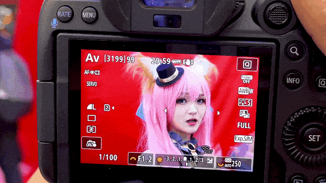 佳能EOS R6+RF镜头:年轻人的第一套全幅微单组合