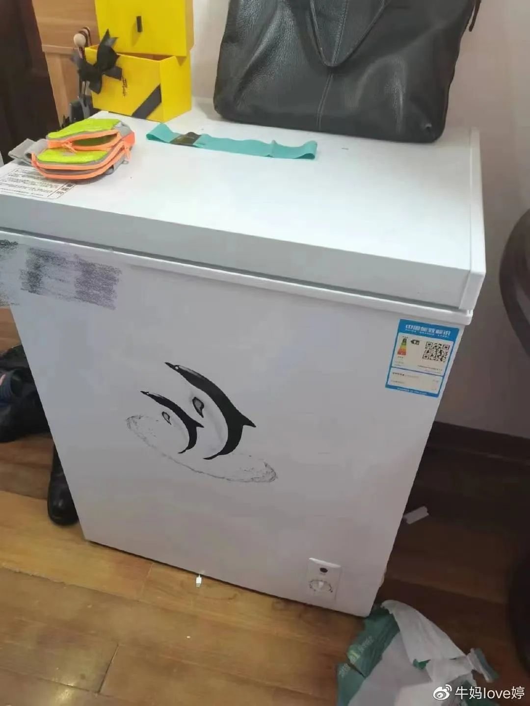 高某用妻子手机账号购买冰箱 图/受访者提供