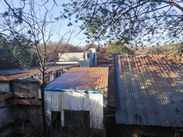 粮库外围此处未设围墙