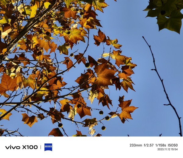 使用vivo X100长焦镜头拍摄