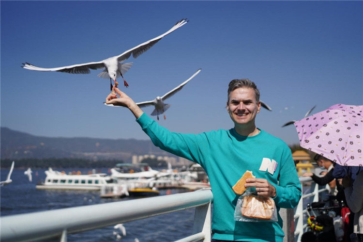 杜安睿在云南昆明滇池边喂海鸥。受访者供图