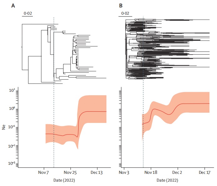 北京地区BA.5.2(左)和BF.7(右)有效种群数量增加的时间轴。来源:柳叶刀