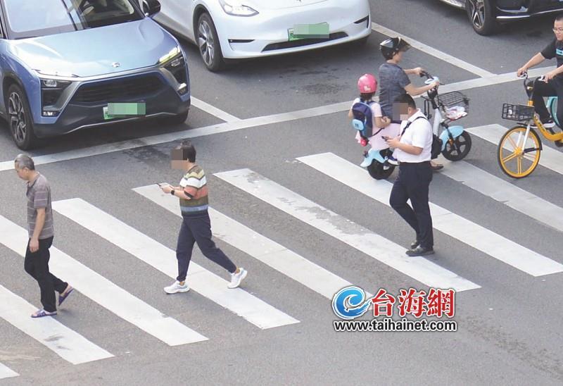 过斑马线玩手机厦门开出首张罚单