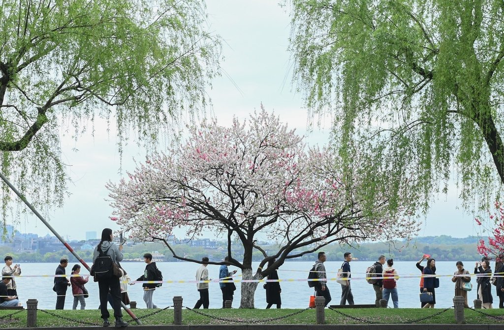 2023年4月4日,浙江杭州,西湖保俶塔前桃红柳绿。江南春日,西湖白堤桃红柳绿,浓浓春意吸引游人。