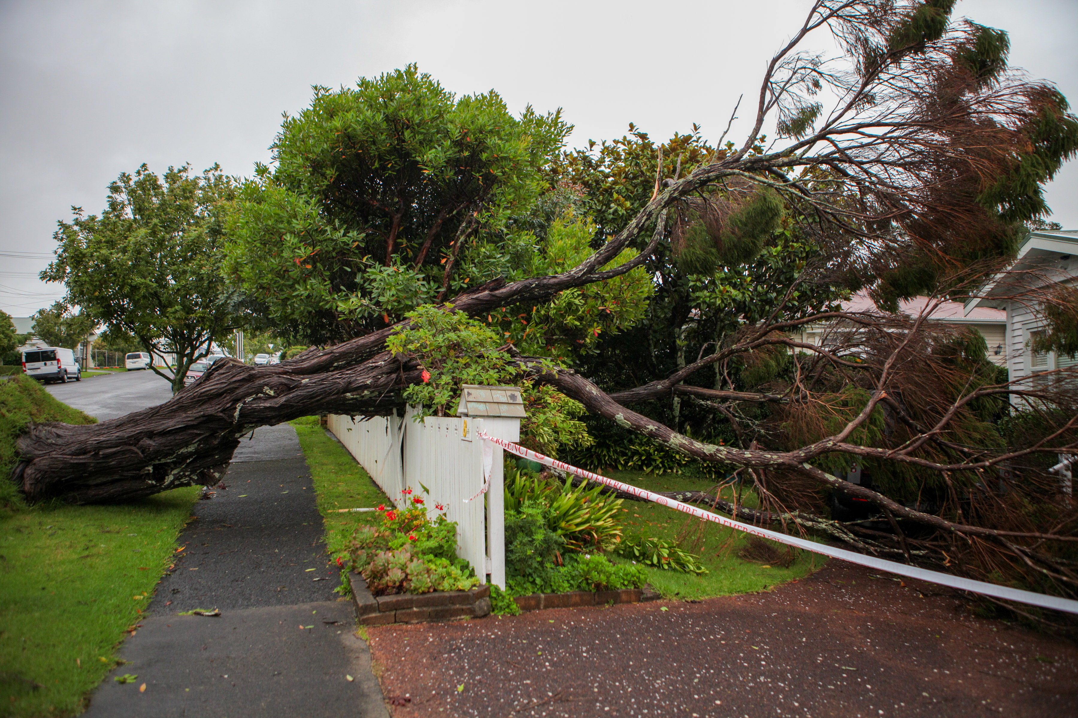 新西兰政府宣布进入国家紧急状态应对飓风灾害