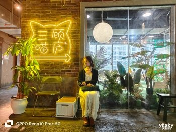 OPPO Reno10 Pro+评测:光影由远及近,让长焦真正回归人像!