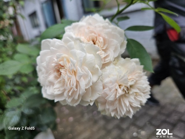 三星Galaxy Z Fold5全面评测 折叠先行者还能有什么新招?