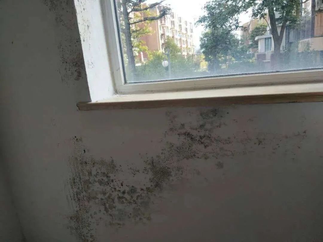 房屋发霉