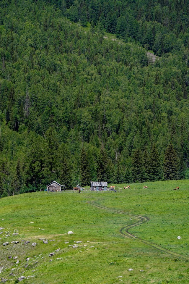 色彩、自然与人文的冲击 尼康Z 7Ⅱ一机三镜行摄大美新疆