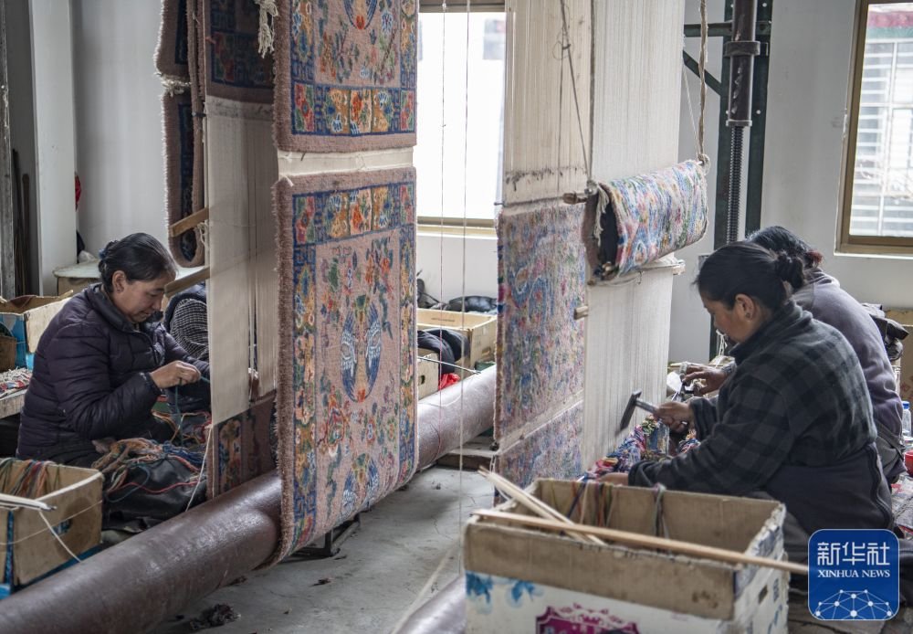 ↑在江孜县地毯厂，工人们编织卡垫（3月19日摄）。