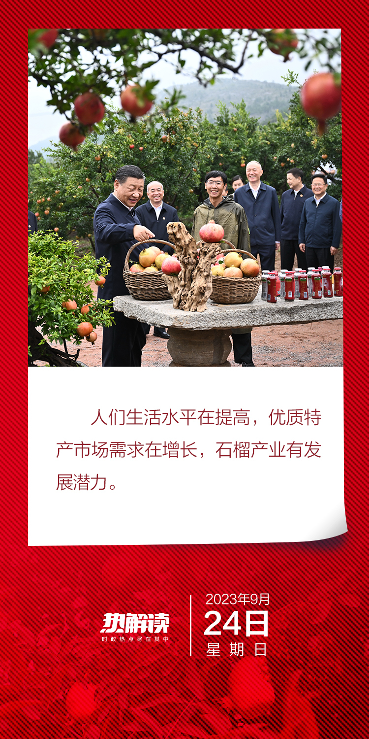 热解读｜火红石榴如何带来红火生活 总书记再谈这篇“大文章”