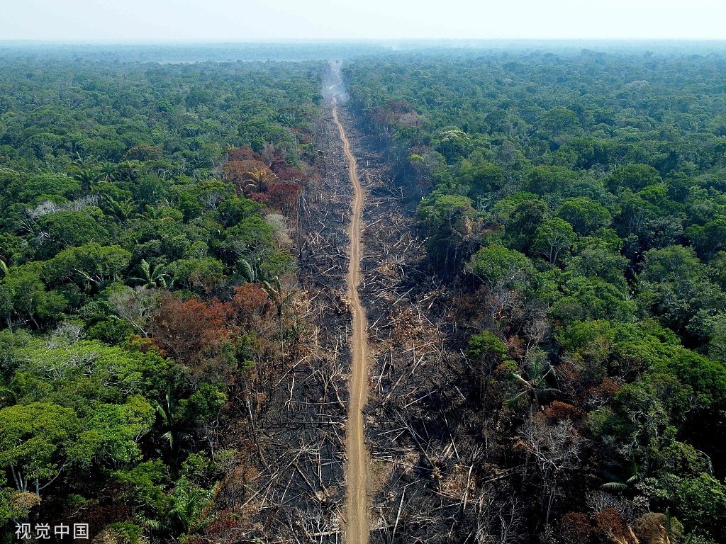 当地时间2022年9月16日，巴西亚马逊州，跨亚马逊高速公路的一段亚马逊雨林被砍伐和烧毁。