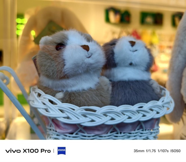 随身就能捏大片儿?vivo X100 Pro一英寸主摄影像实测