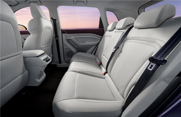 2.0T的动力、1.0T的油耗!五菱星云混动SUV:百公里耗油5.5升