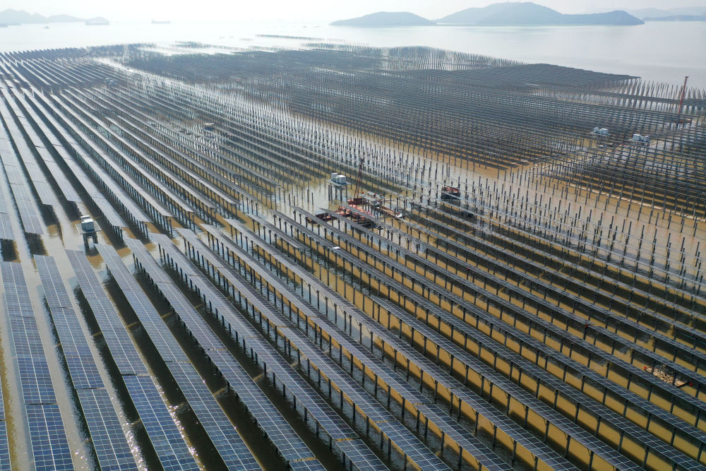 在台州市三门县，施工人员在水上安装中核汇能三门200兆瓦滩涂光伏项目的光伏面板。