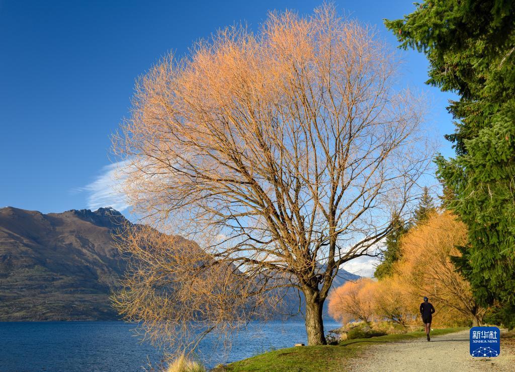 9月28日,一名男子在新西兰南岛昆斯敦的湖边跑步. 新华社记者 郭磊 摄