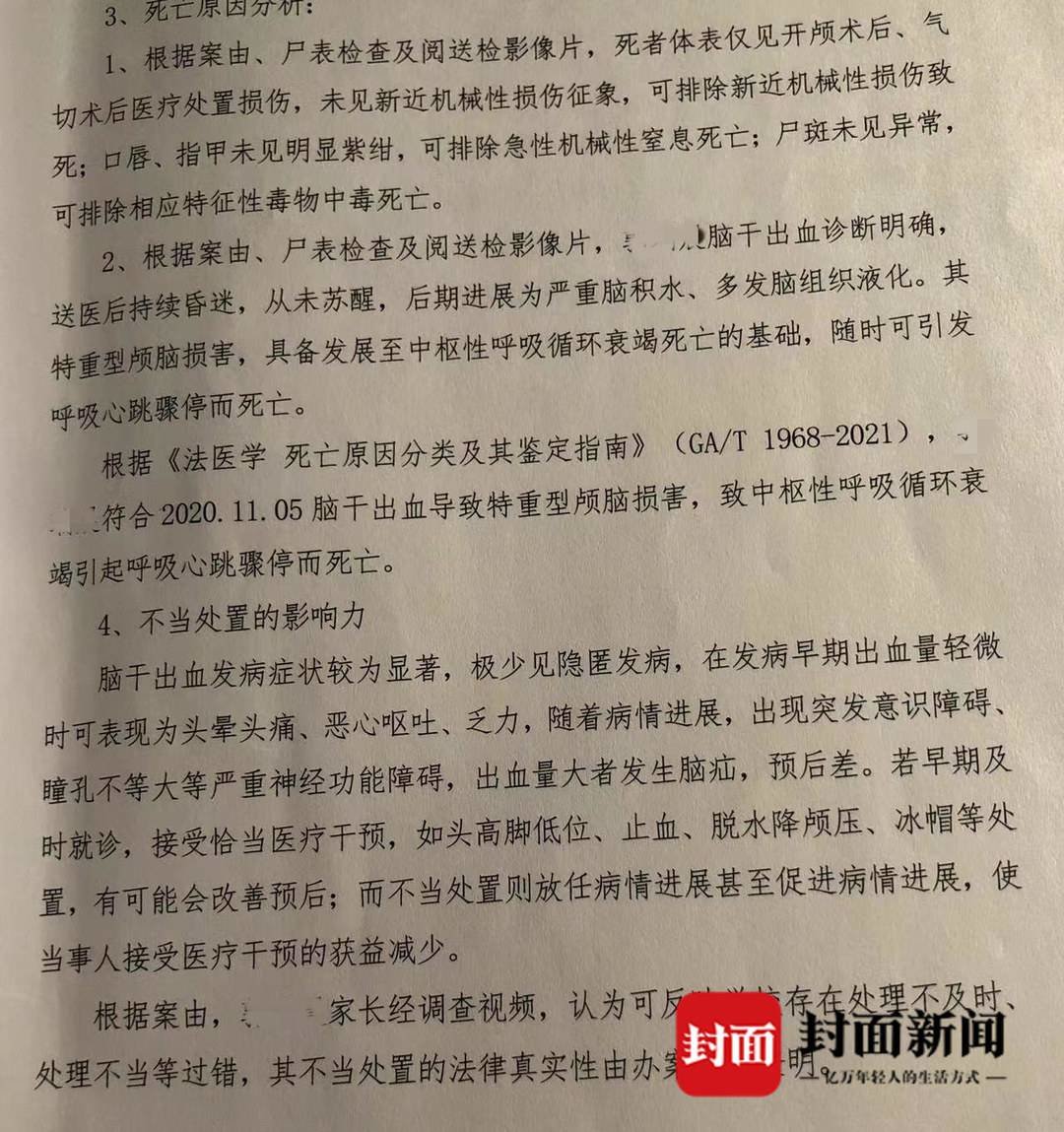 司法鉴定截图(受访者供图)