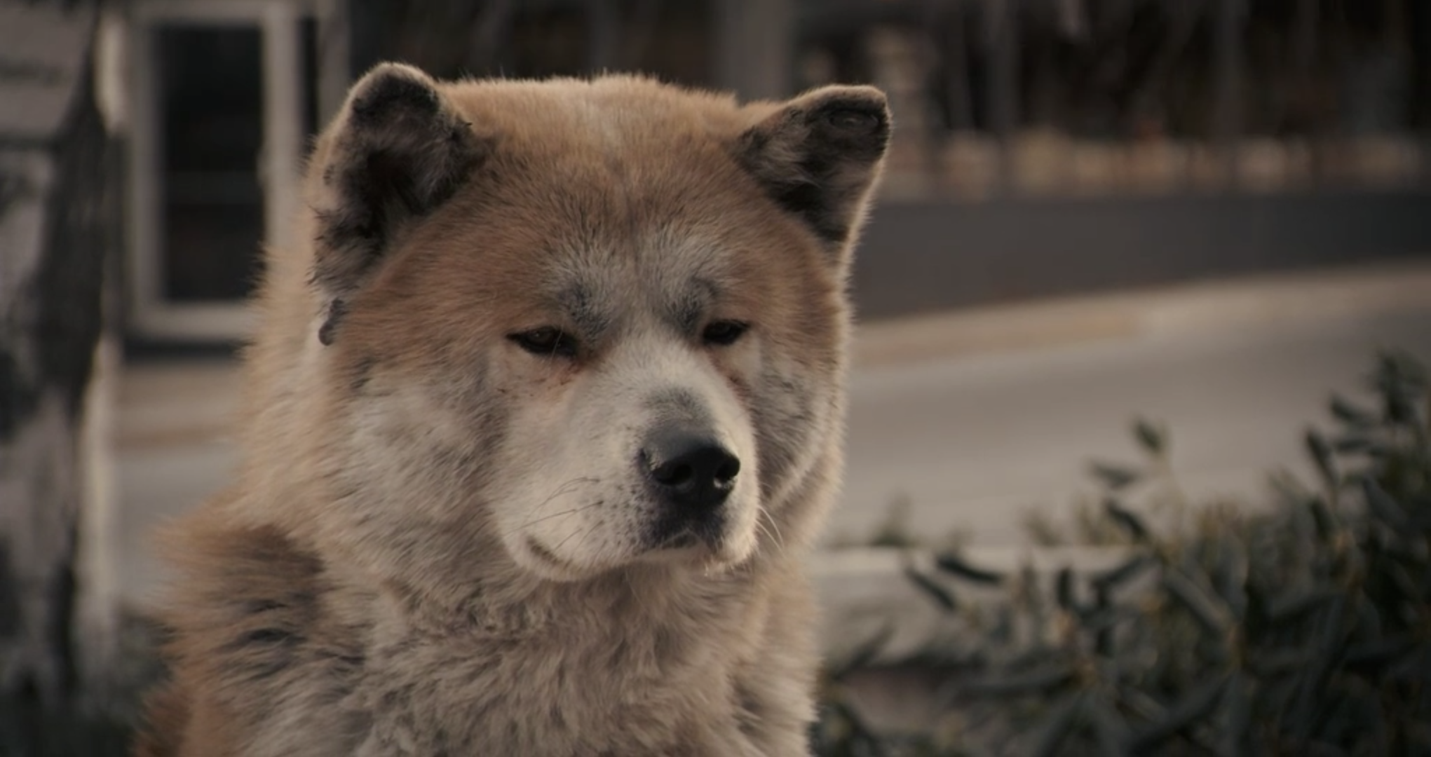 截屏2023-04-04 10.18.20.png