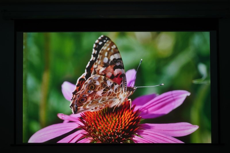 色彩亮度我都要!Vidda C1S评测:三色激光画质优秀 同亮度碾压单激光