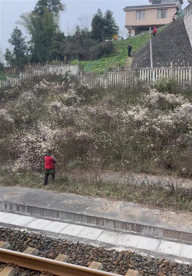 男子离开铁轨(媒体报道视频截图)