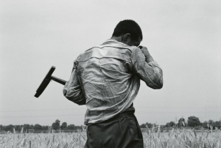侯登科,《麦客》,1982-2000