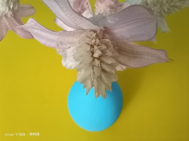 长续航兼顾大内存!vivo Y35评测:解锁千元级新体验