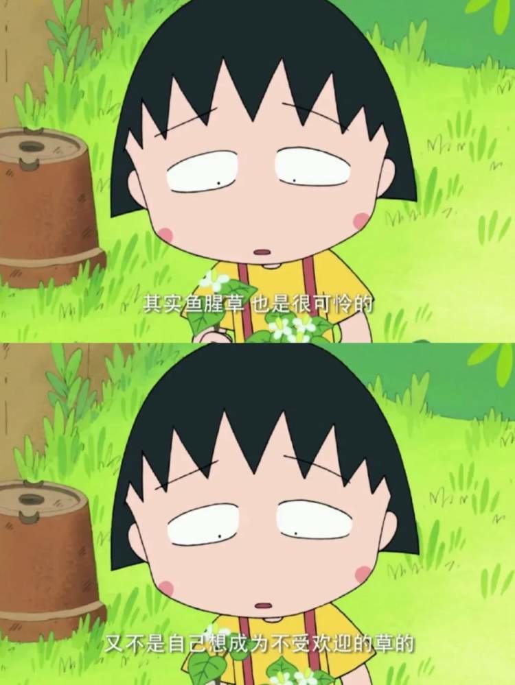 △《樱桃小丸子》