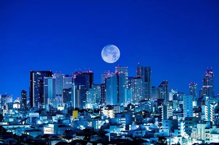 东京新宿的夜景
