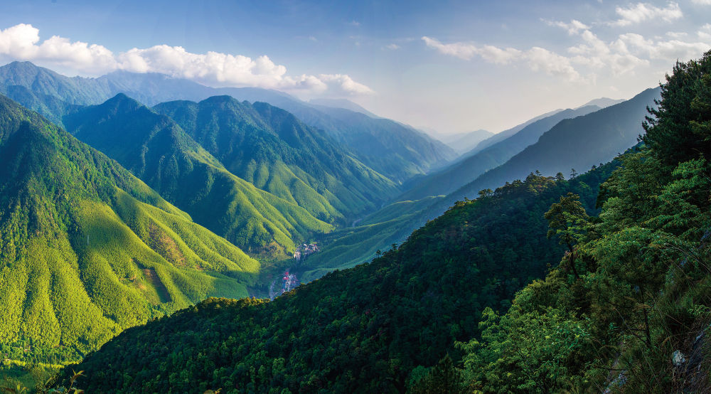 这是武夷山国家公园风光。