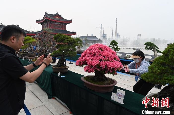 图为游客在沧州园博会参观。 翟羽佳 摄