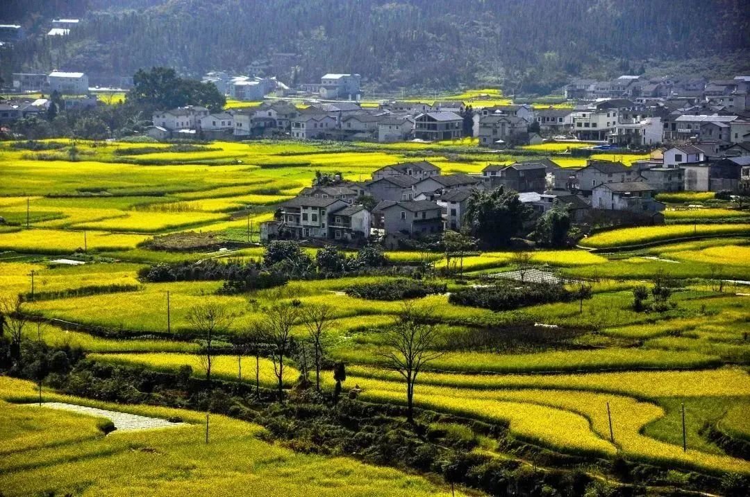 峰林画廊皆美景 刘朝富 摄(贵州图片库供图)