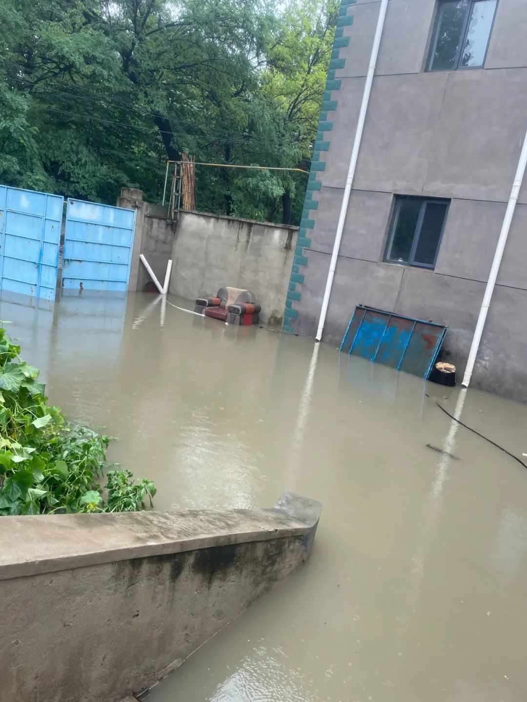 7月31日早上，赵亮租住院子里的水已经漫上台阶