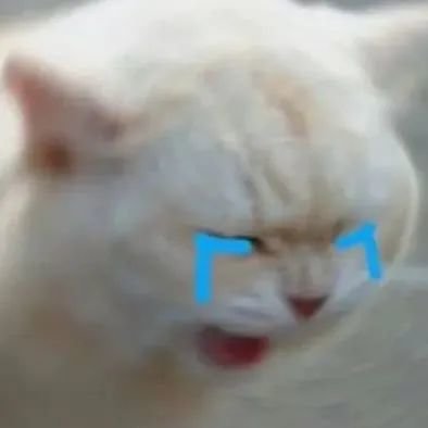 一张照片惊艳全网!这个帅翻全港的男人回来了