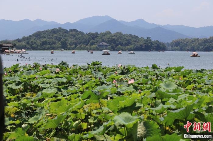 浙江省杭州市,夏季的西湖景色优美.来源:视觉中国