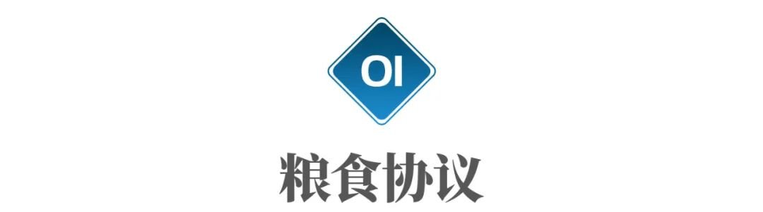 普京宣称可能向非洲免费送粮的新闻报道
