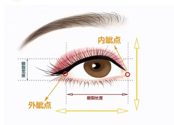 通俗点说,测量眼部基础就是看眼睛的长度,看两眼间距,然后看眉毛到眼睛的距离