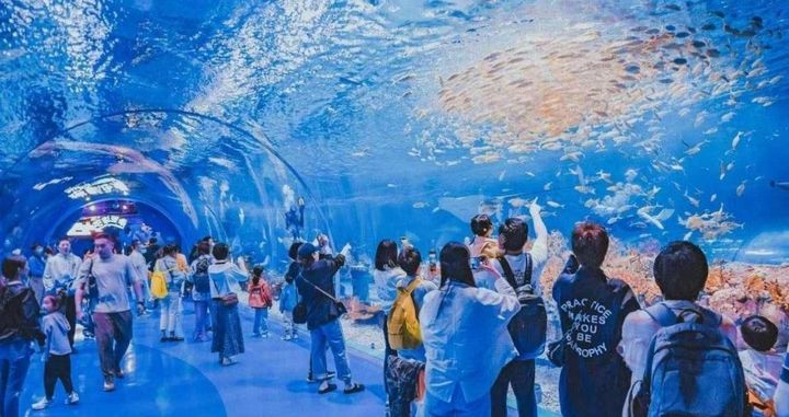 海昌海洋公园来中原了,这一次为何是郑州?