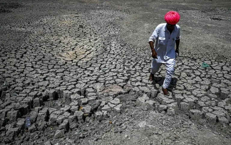 麻绳专挑细处断，极端气候首先考验的是印度薄弱的农业与贫苦的农民。图源：aljazeera