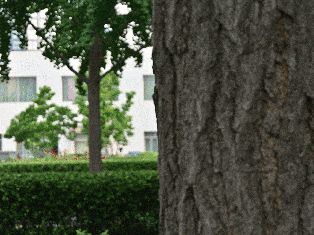 4799元的尼康全能微单Z30选购攻略