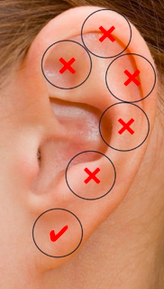 屏幕快照 2023-04-13 下午8.19.38.png