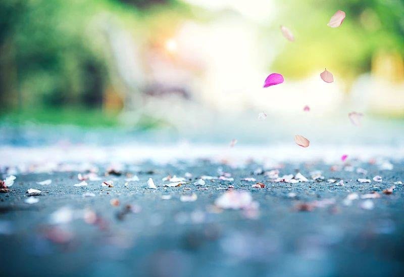 芒种丨“芒”有所获，“种”有所得