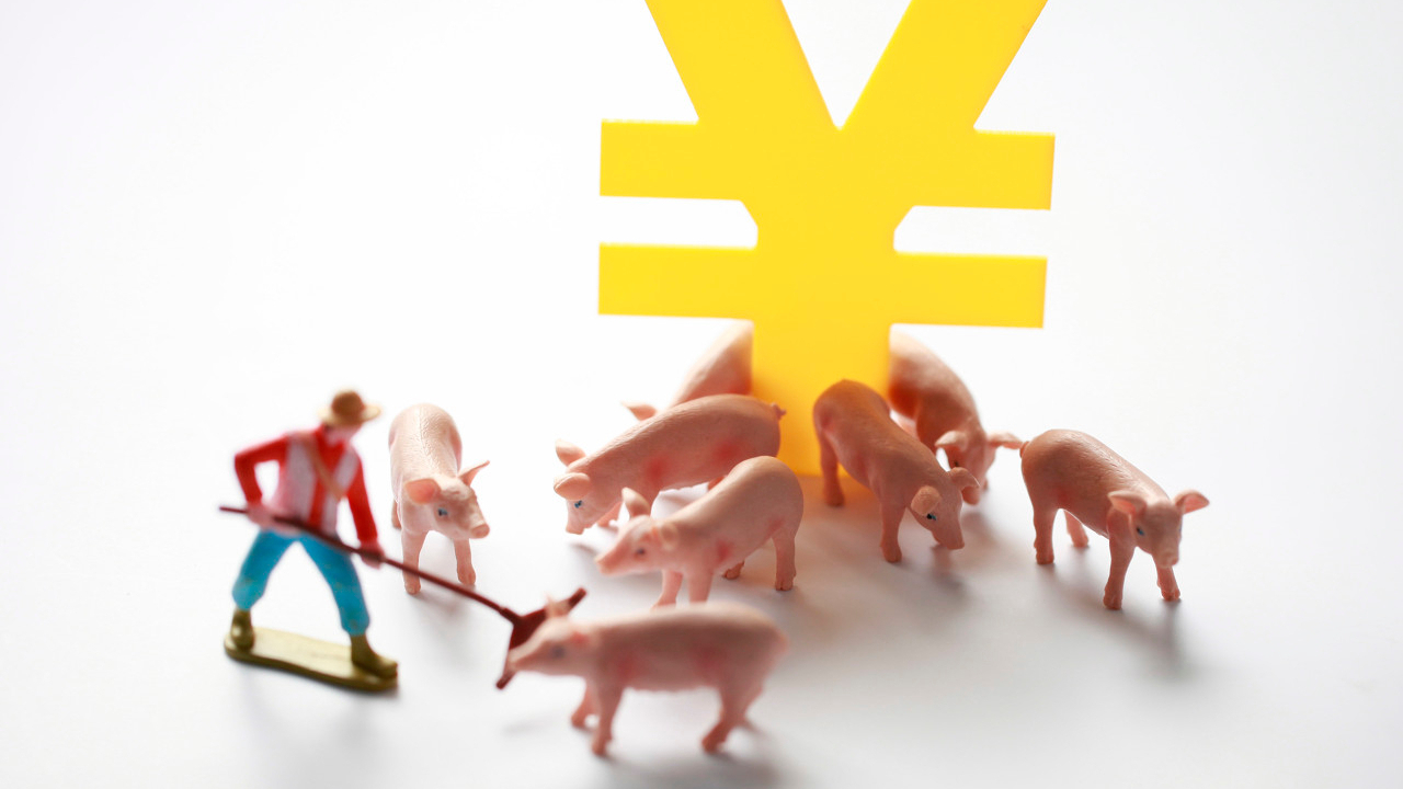 国家统计局:11月上旬生猪(外三元)价格环比上涨0.7%_凤凰网