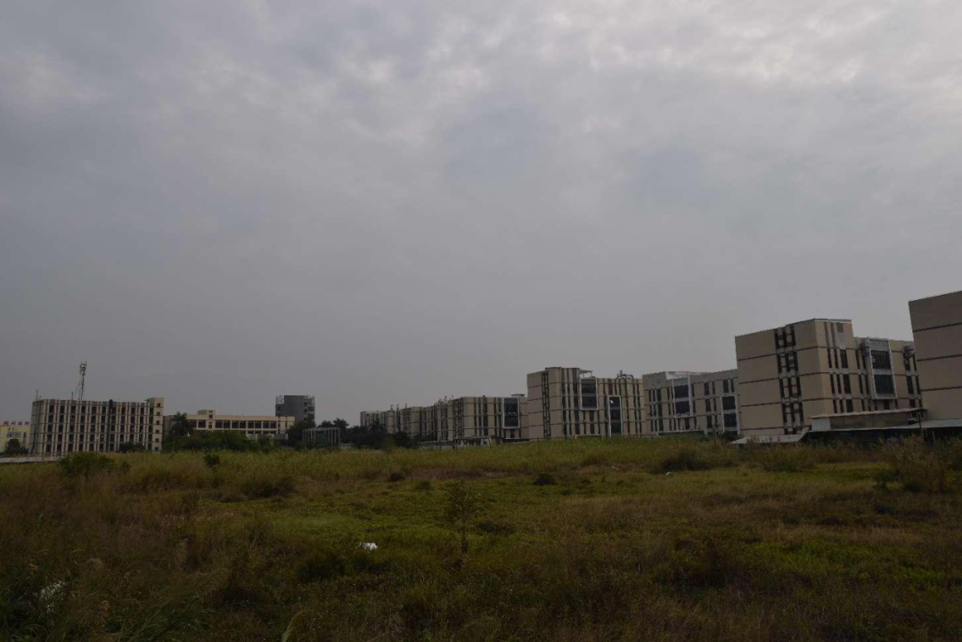 丰盛科苑工业园内100亩待使用的土地。刘虎 摄