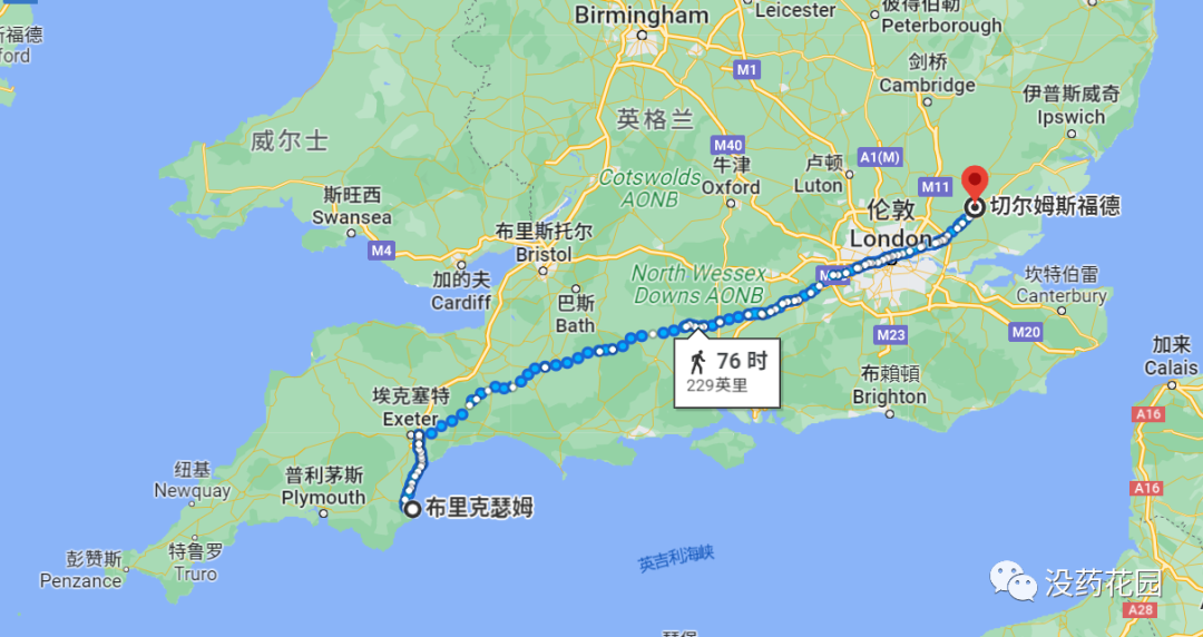 (切尔姆斯福德-布里克瑟姆)
