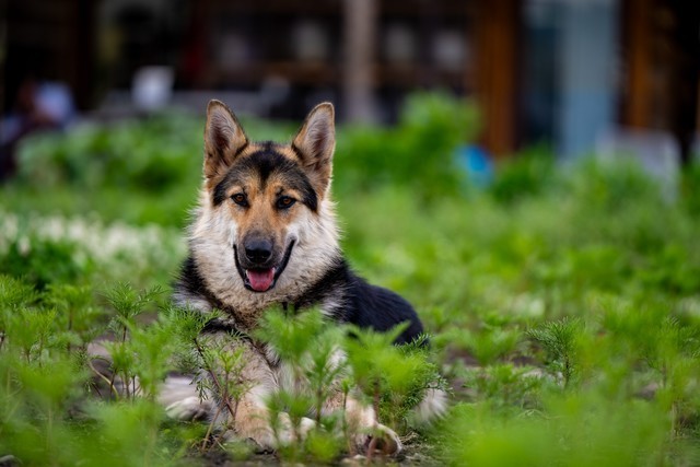 色彩、自然与人文的冲击 尼康Z 7Ⅱ一机三镜行摄大美新疆