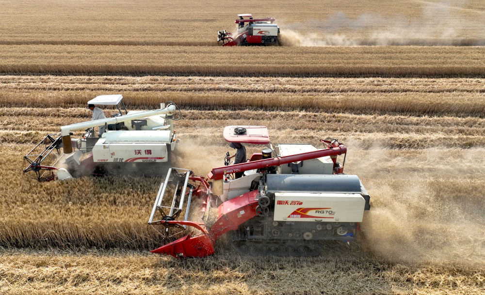 新华社发(刘勤利 摄)